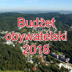 budżet obywatelski